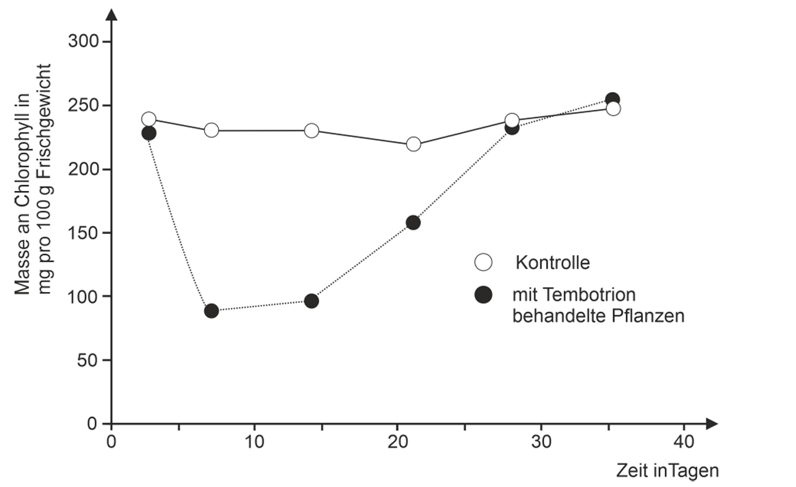 Liniendiagramm: Chlorophyllgehalt (mg/100g) über Zeit; Vergleich Kontrolle (offene Kreise) und mit Tembotrion behandelte Pflanzen (gefüllte Kreise)